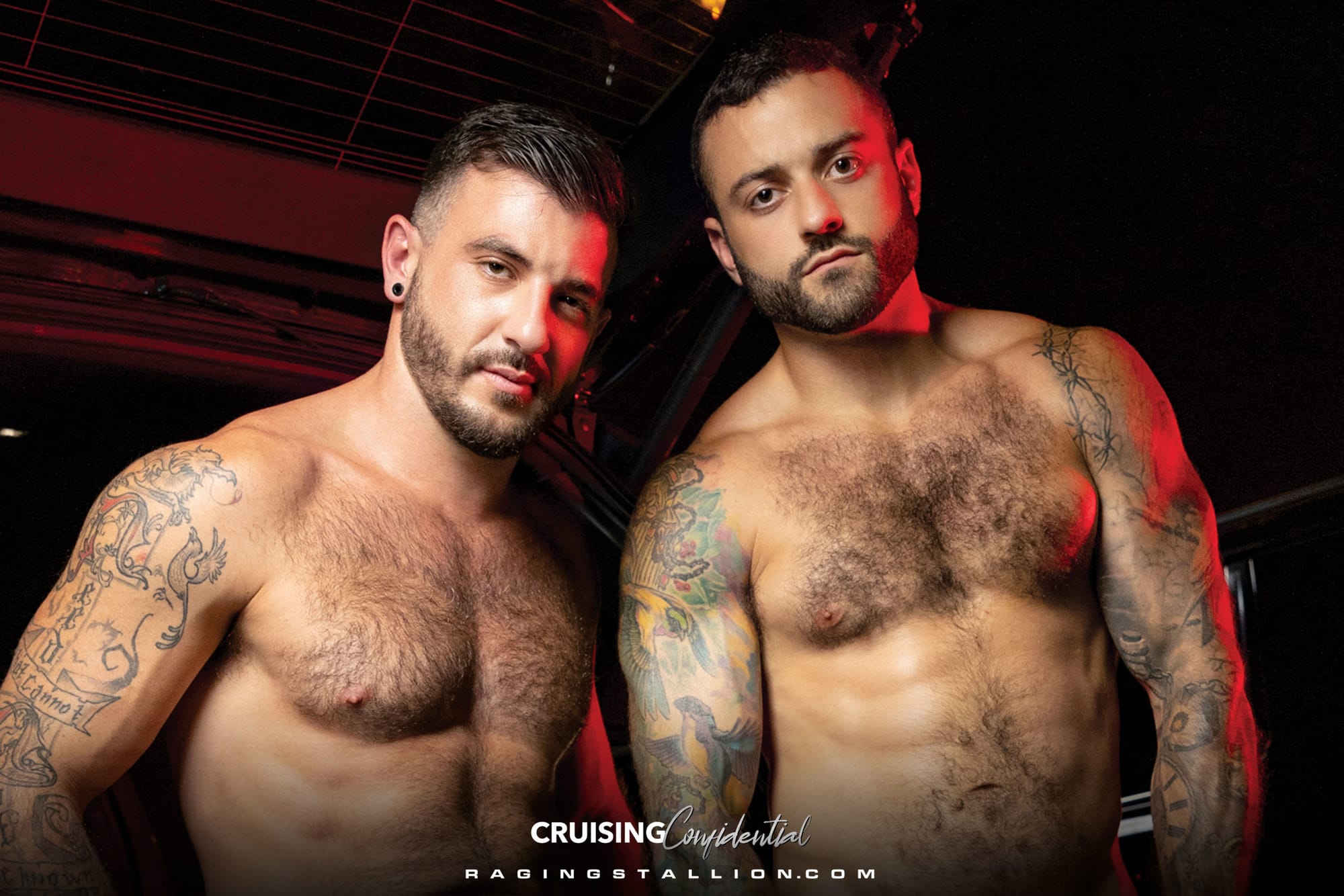 Review: Cruising Confidential