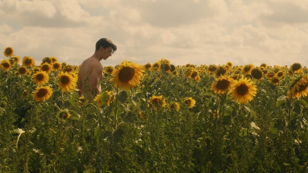 What to watch: Sunflower